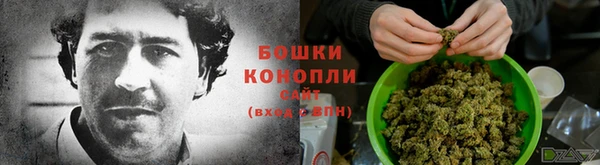 каннабис Белокуриха