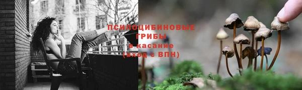 прущая мука Белоозёрский